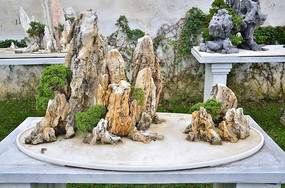 園藝景觀石頭黑松擺件藝術圖片素材