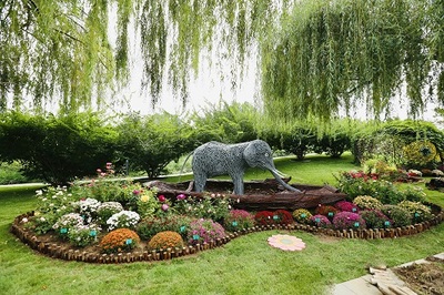 2021年北京秋季新優(yōu)花卉品種展示推介會(huì)開(kāi)幕