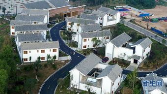 秦嶺深處的音樂小鎮(zhèn) 彩色花海中的景觀藝術交融