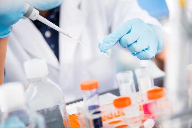 喜訊 | 中源協(xié)和參與國(guó)家“十四五”前沿技術(shù)重點(diǎn)研發(fā)項(xiàng)目，助力我國(guó)細(xì)胞治療產(chǎn)業(yè)高質(zhì)量發(fā)展