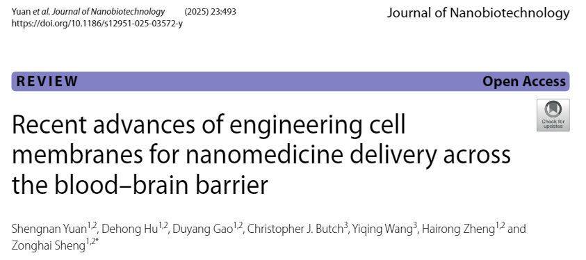 深圳先進(jìn)院突破血腦屏障 細(xì)胞膜工程仿生納米技術(shù)為腦病治療開辟新路徑