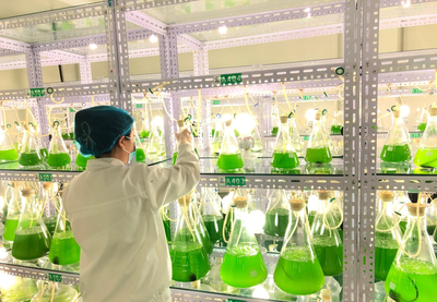 科技賦能，振興鄉村 內蒙古企業捐贈千萬元微藻修復液助力農牧業增產增收