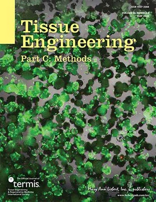 3D干細(xì)胞大規(guī)模制備工藝榮登國際期刊封面，華龕生物引領(lǐng)細(xì)胞技術(shù)新突破